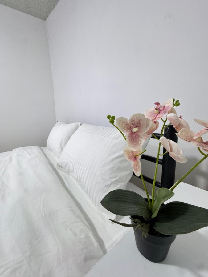 MaVi House - B&B Kutaisi