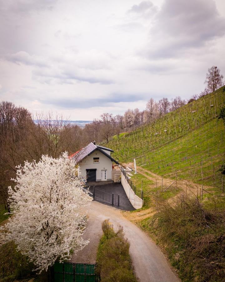 Holiday Home Meadow&Vines with Hot Tub - B&B Videm pri Ptuju