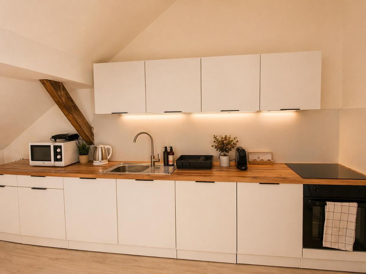Grand Maisonette 112m Castle View - Bed and Breakfast Praag