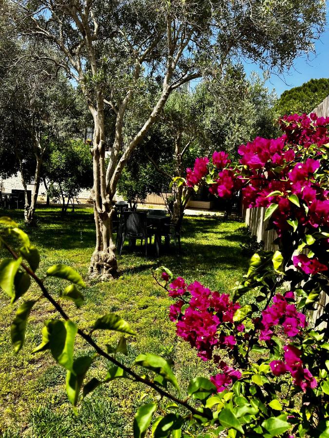 Benlikya Apart Demre - B&B Demre