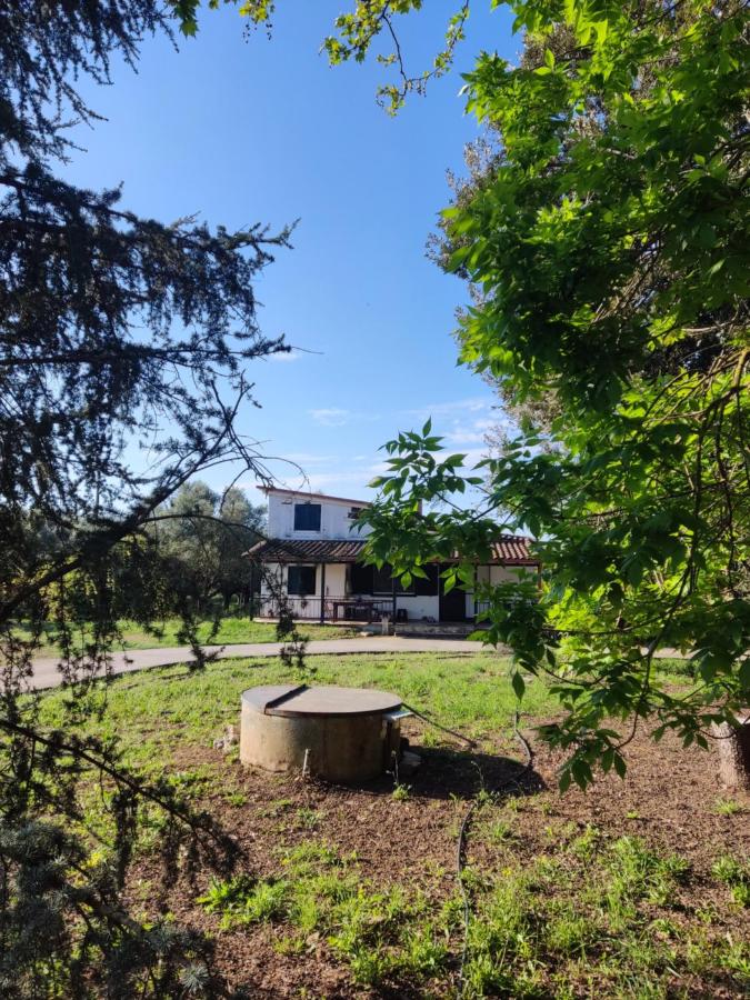 Anastasia's Cottage - B&B Oichalía