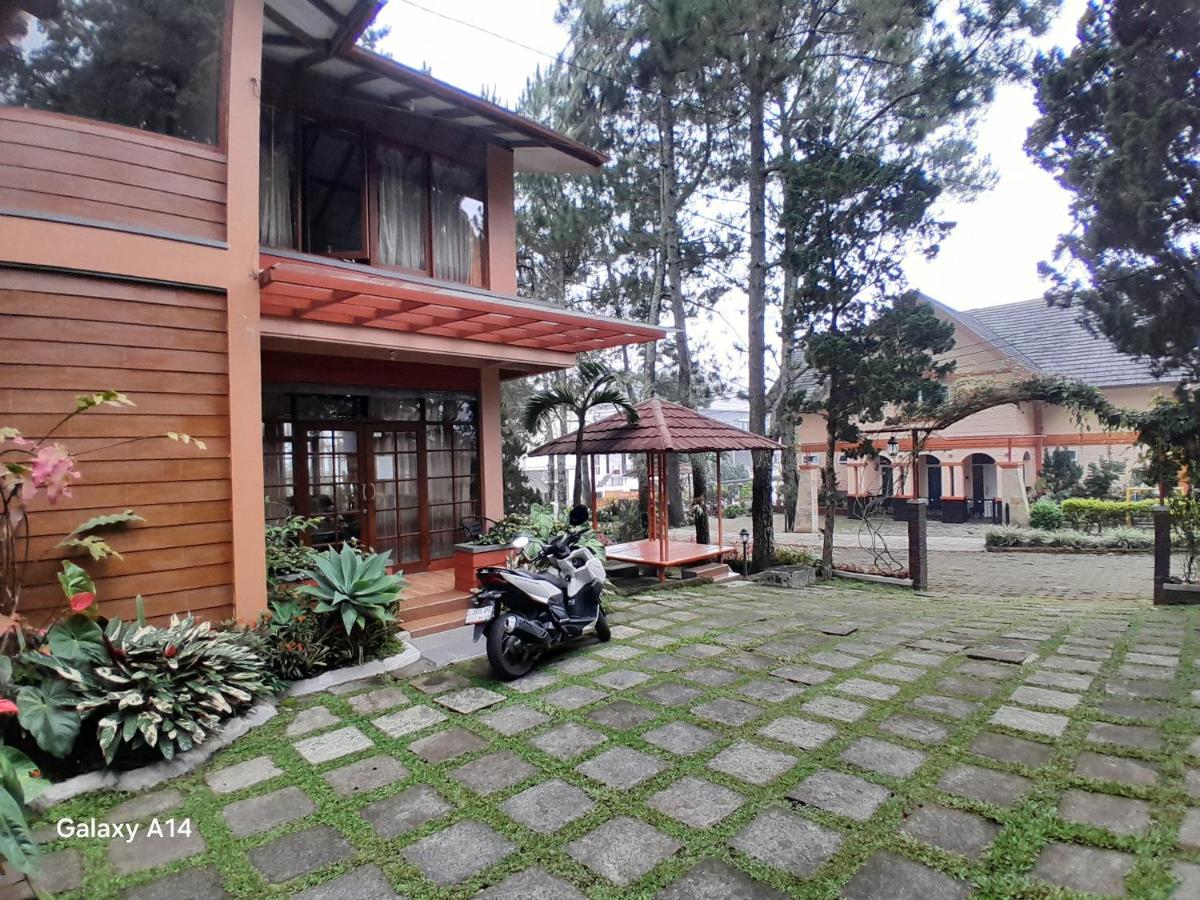 Villa Dinar Tulip Pinewood - Bed and Breakfast Lembang