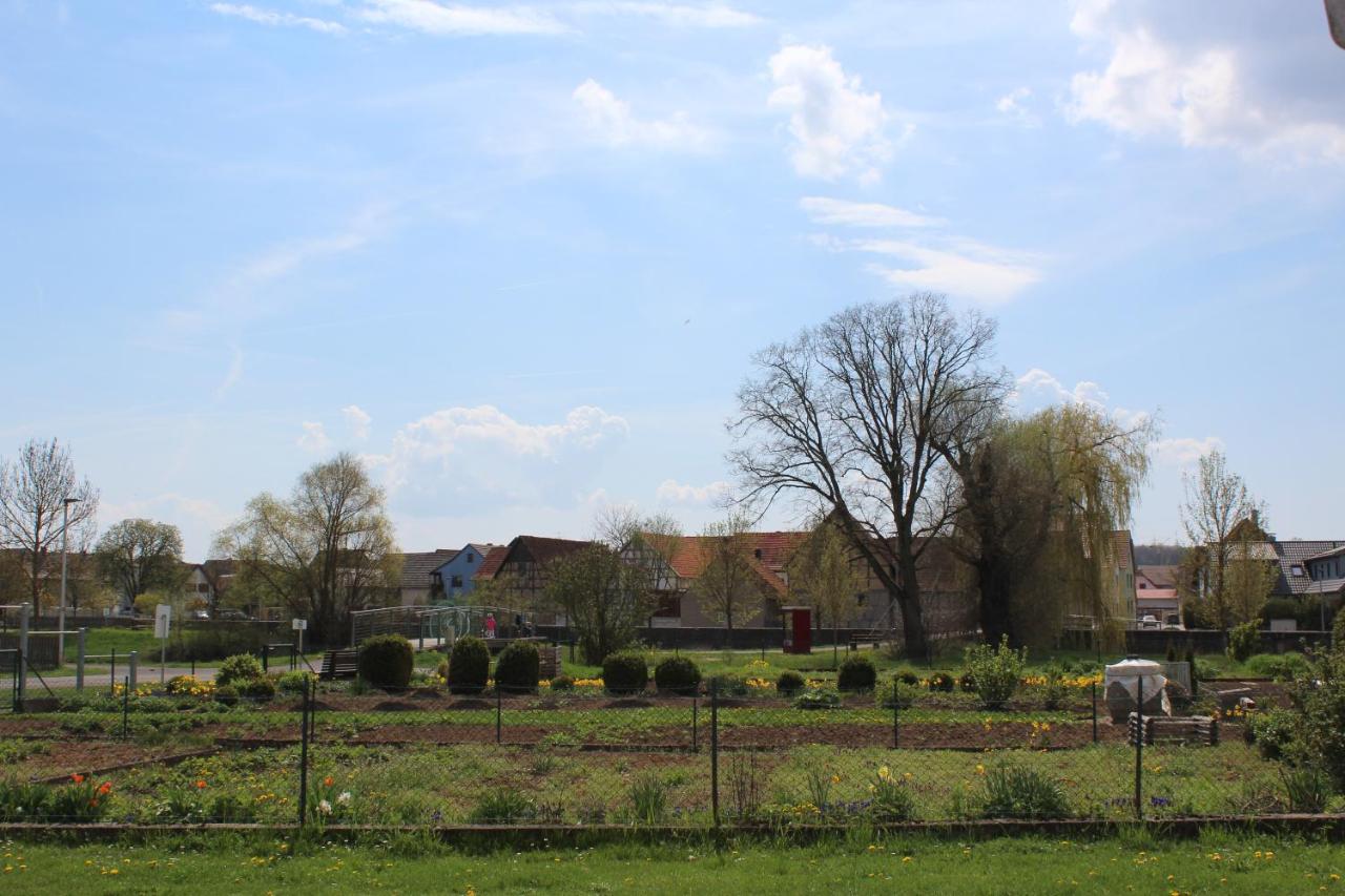 Tinyhouse Rhön-Saale - B&B Wülfershausen