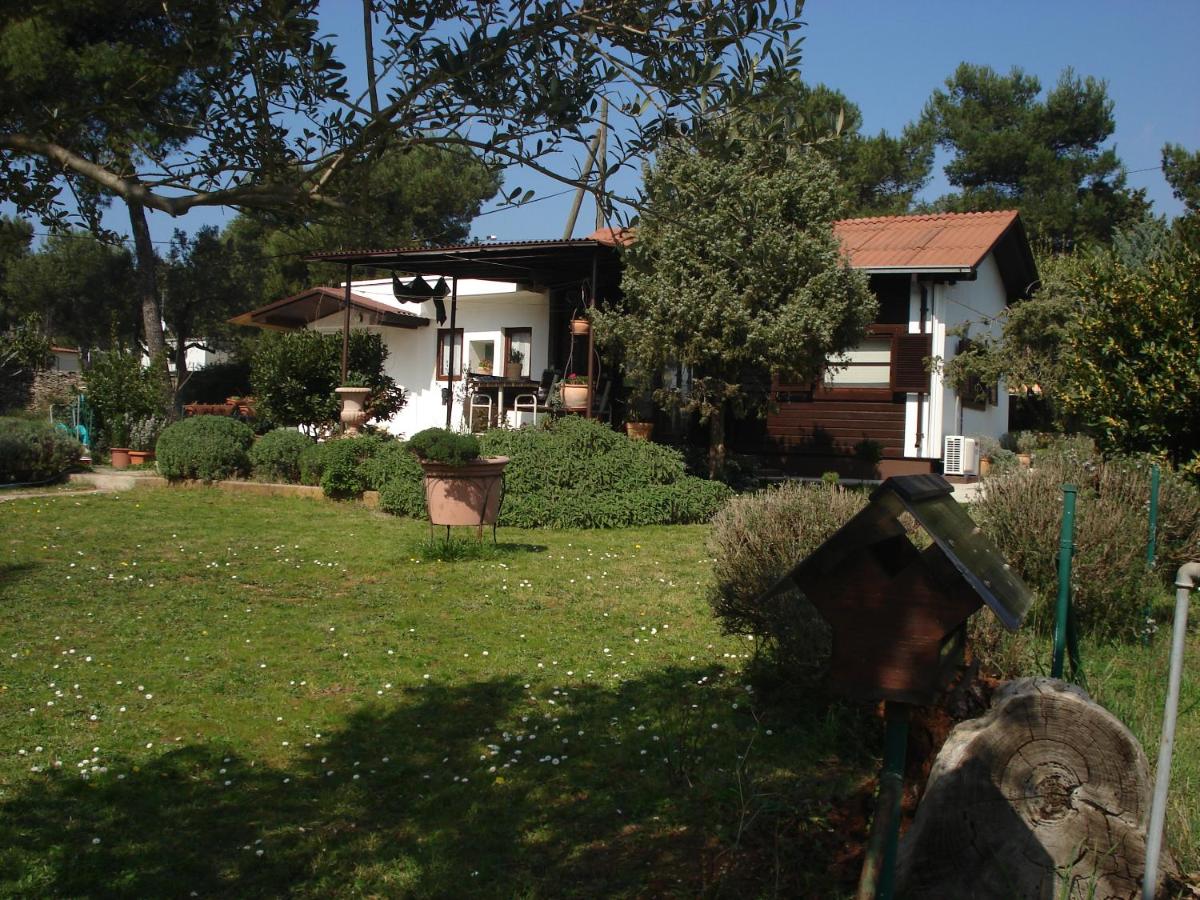 Holiday Home Julia - B&B