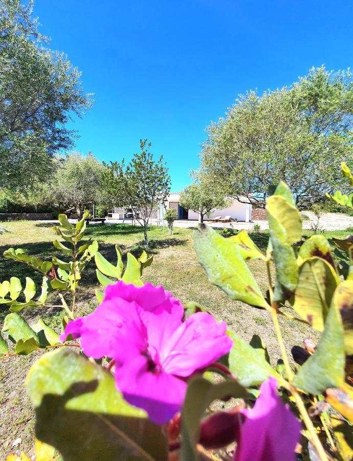 Casa Encantada - Villetta immersa nel verde a pochi minuti dal mare - Ferienwohnung Cala Liberotto