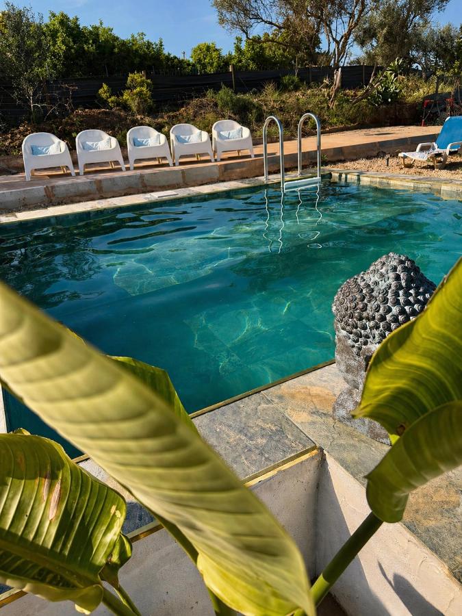 Casa Oliveira - B&B Silves