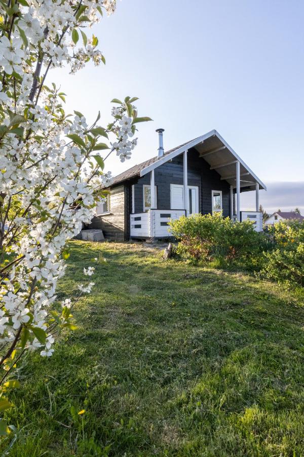 Magiczny Domek - drewniany dom pod Ślężą - B&B Sulistrowice