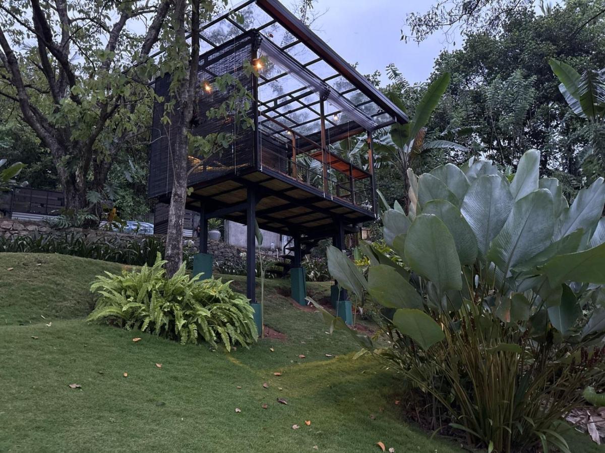 Heliconia Ledge - B&B Mawanella
