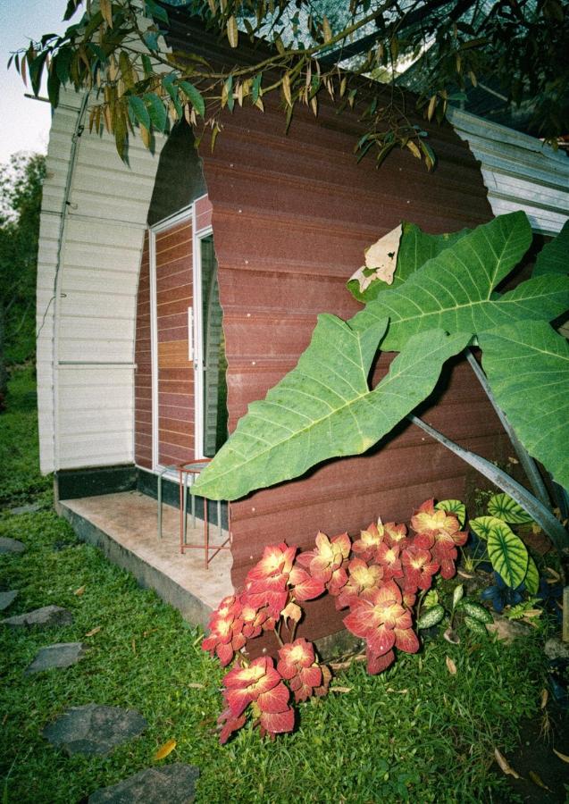 Laa Cabana Lombok Glamping - B&B Sapit