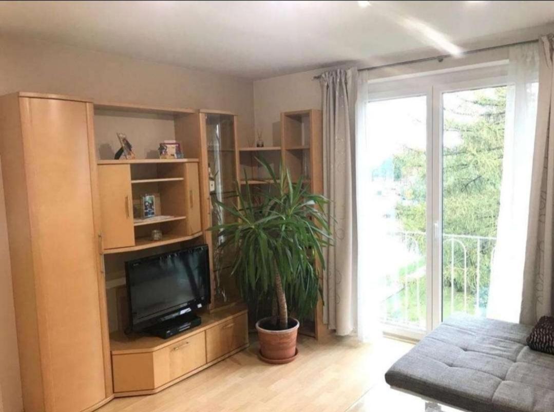 Appartement - Wohnung SEEROSE 50 m2 Neufeldersee - Ferienwohnung Ebenfurth