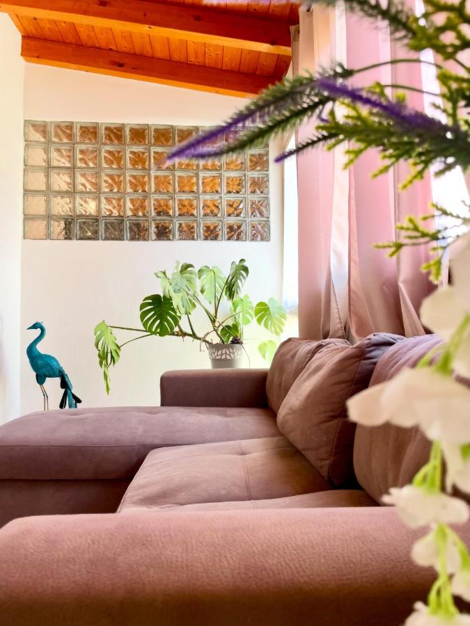 DomuMnG - Bed and Breakfast Elmas