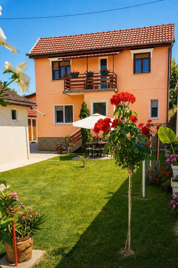 Kuća Amazonija - Ferienwohnung Apatin