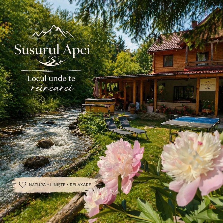 Susurul Apei Chalet - B&B Porumbacu de Sus
