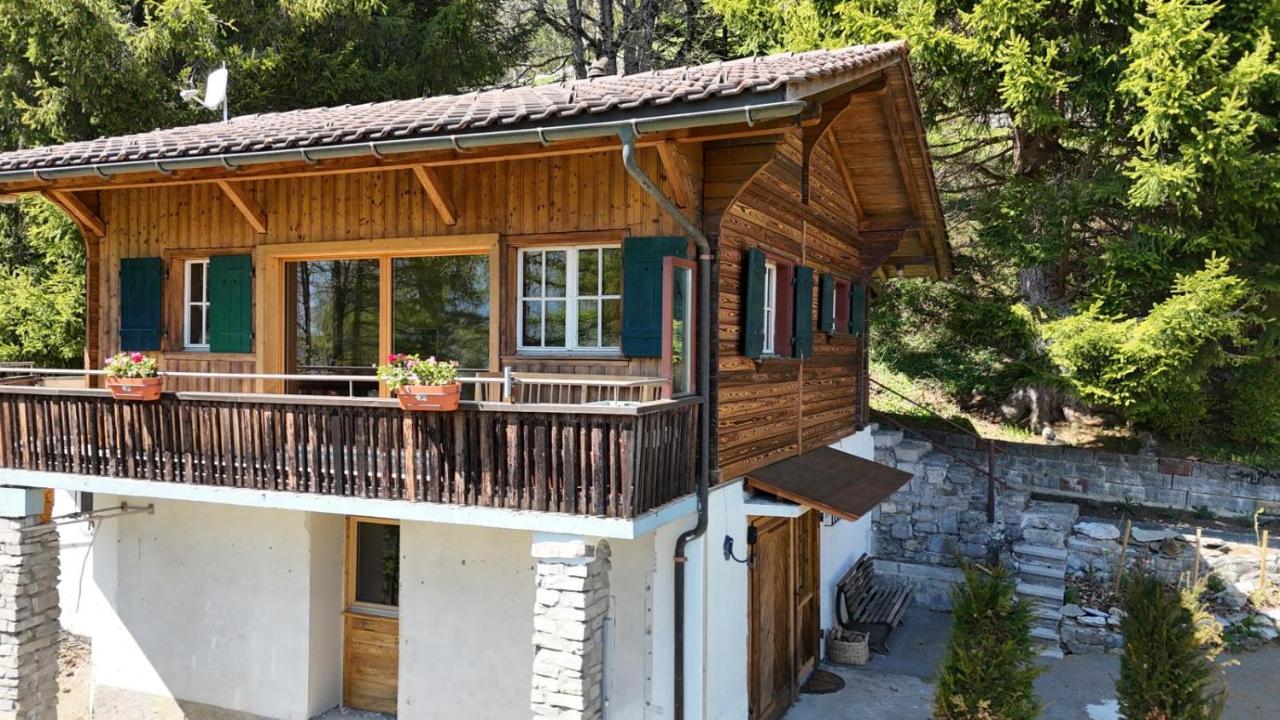 Chalet with fireplace and sauna - Bed and Breakfast Meiringen