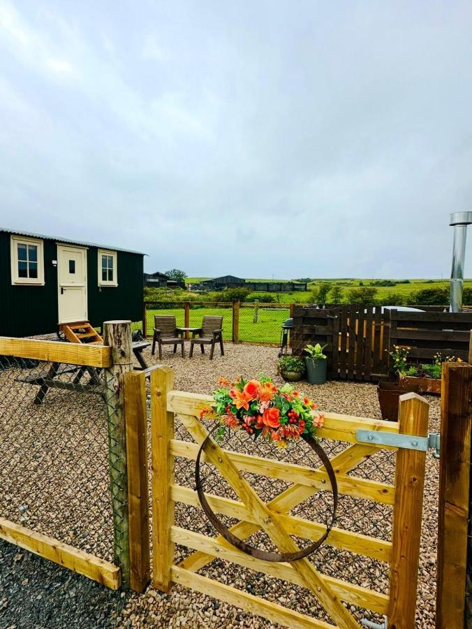 Coorie and Keek Shepherd's Hut - B&B Prestrie