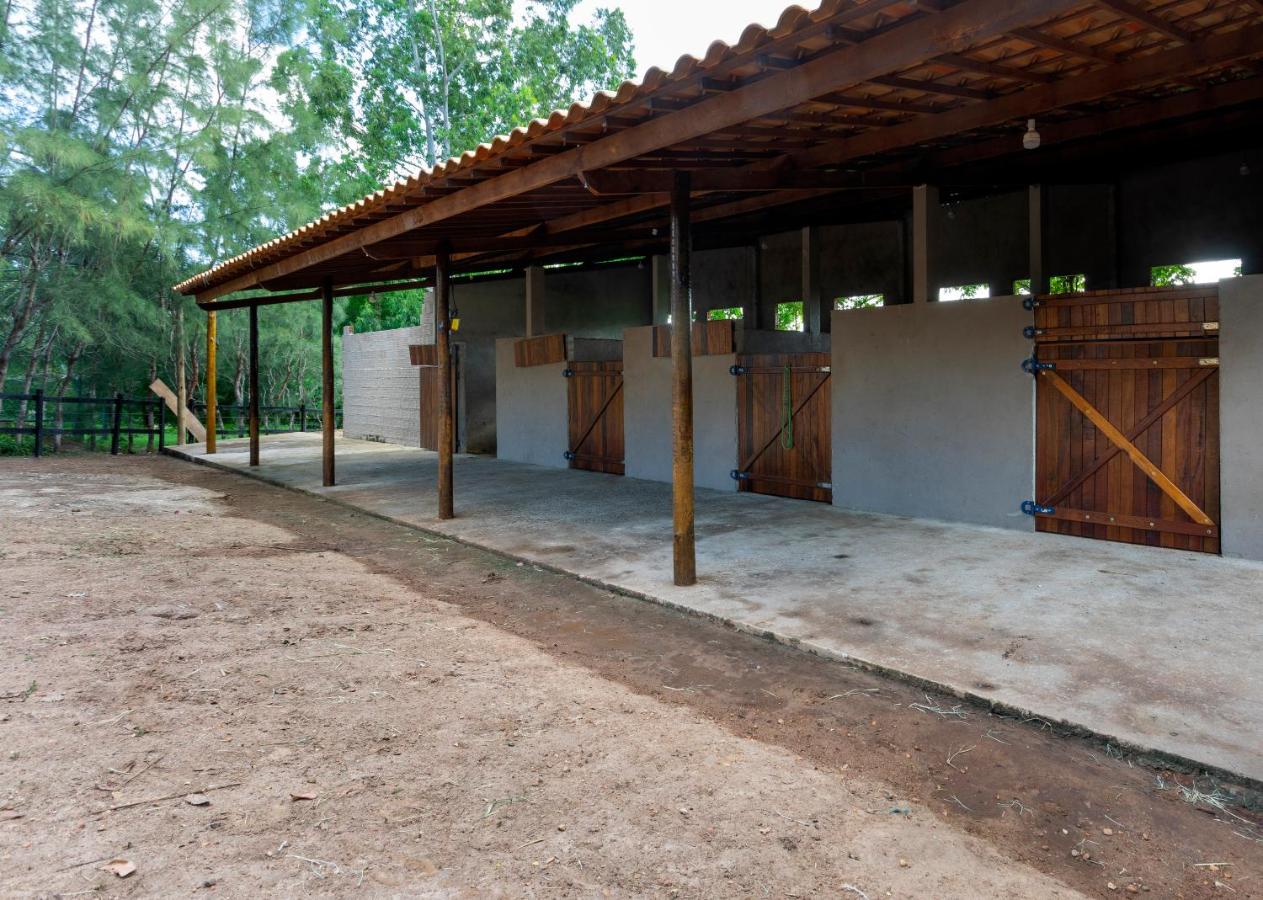 Haras Ammi Shaddai - B&B Cuitegi