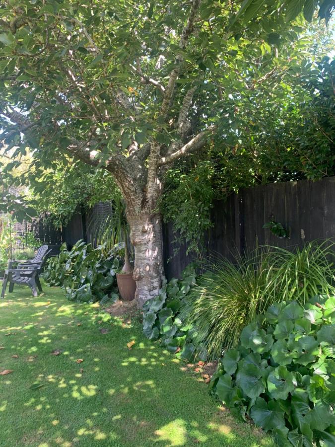 Private Retreat - B&B Cambridge