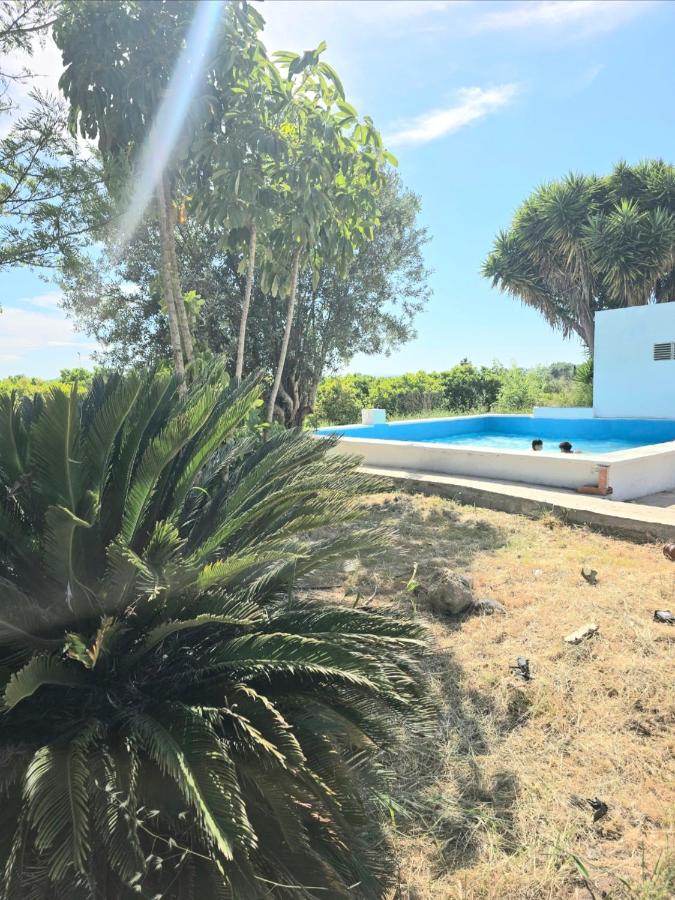 Villa Los Naranjos - B&B Carcaixent
