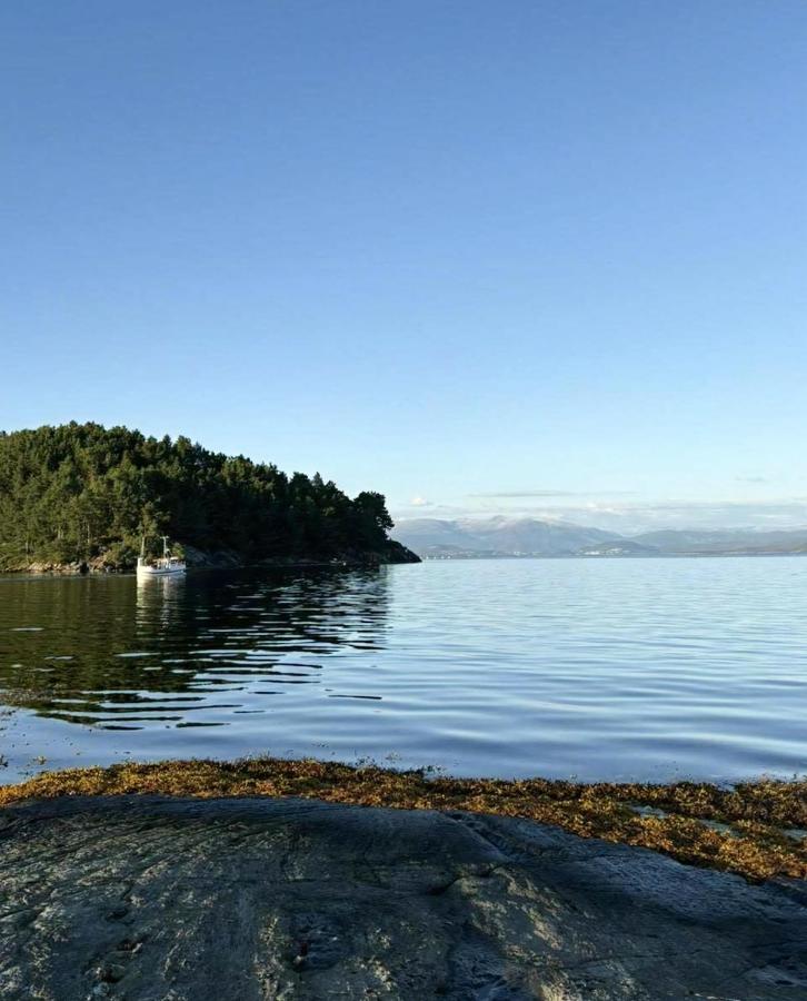 Cabin With Private Pier By The Sea At Tittelsnes - Chambres d'hôtes Valevåg