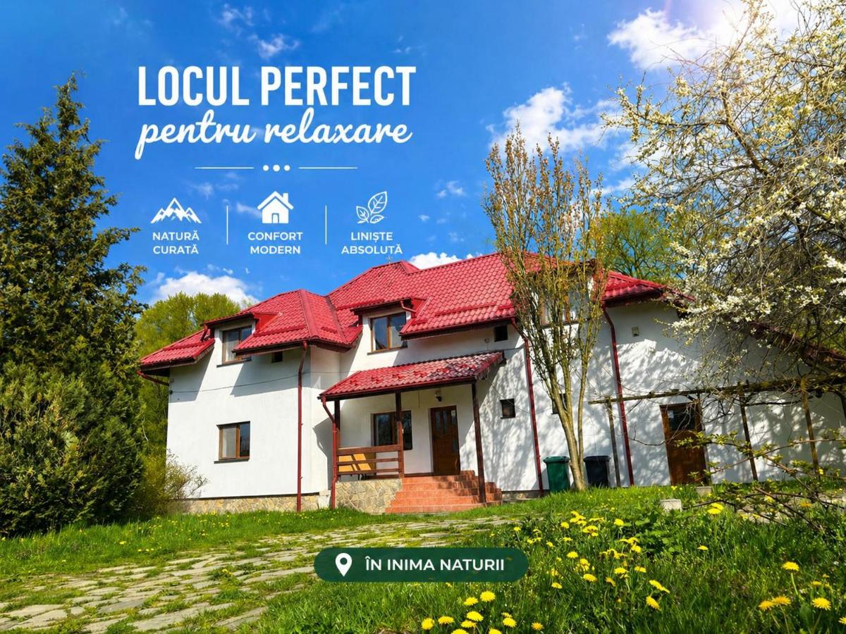 Casa Ina Rasnov - B&B Râşnov