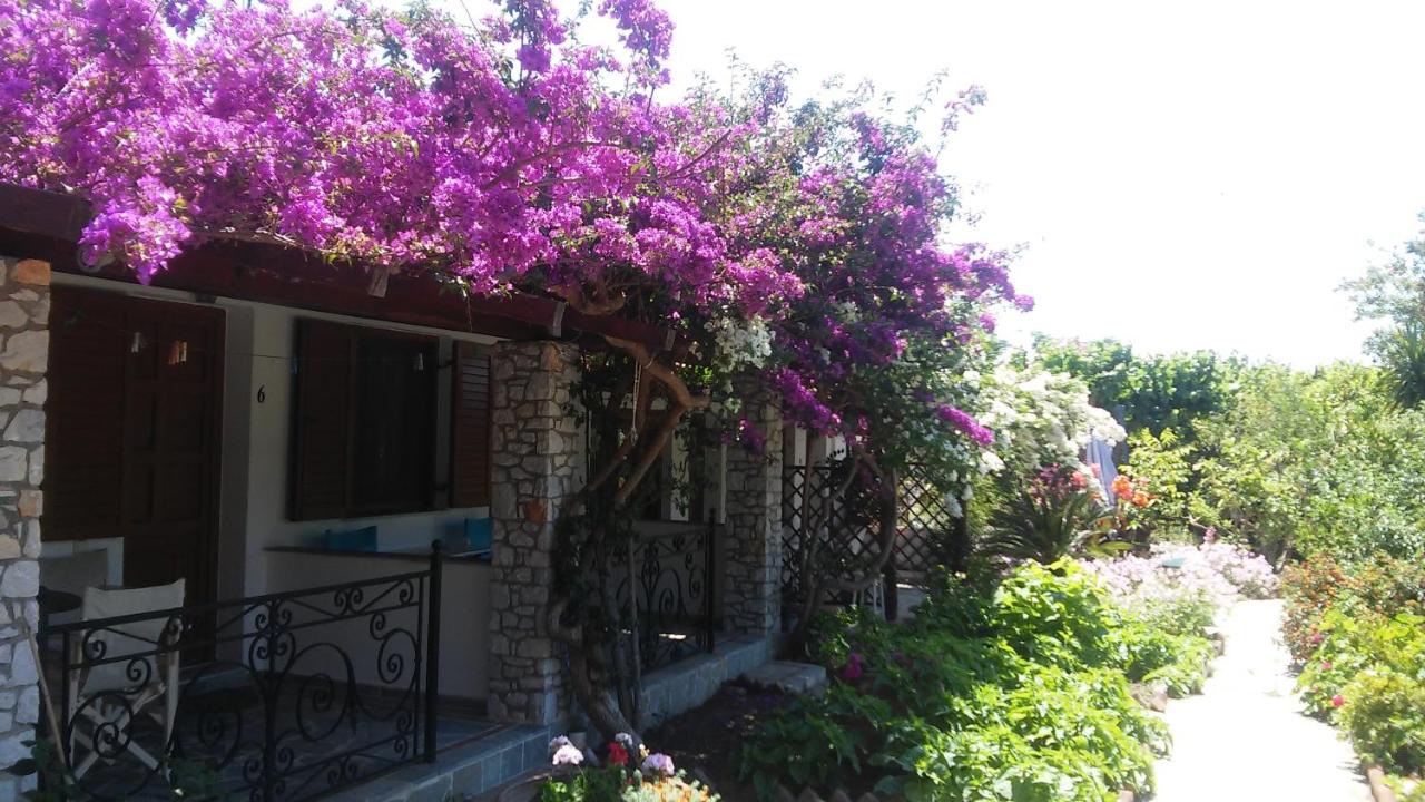 Studio with Garden View
