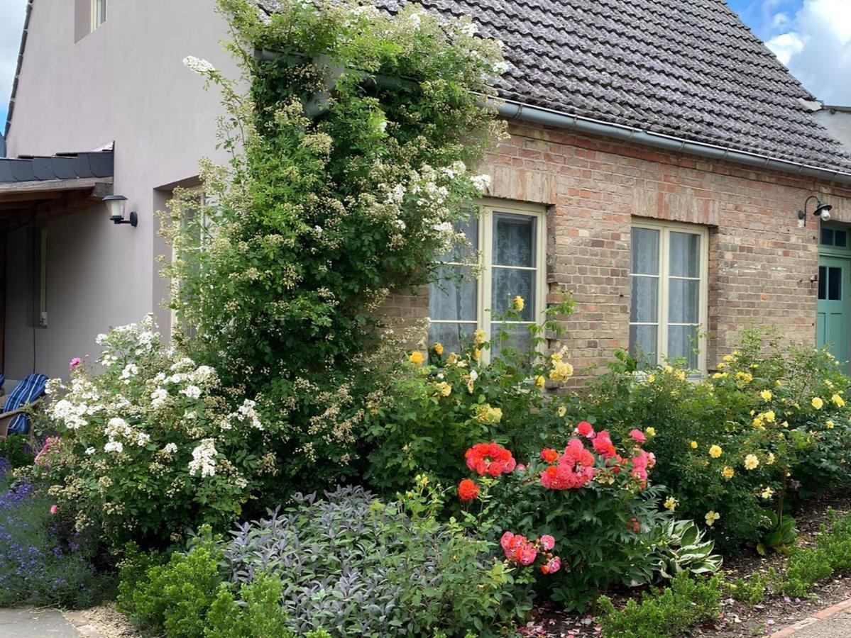 Cottage an der Müritz - großer Garten mit Pool - Außenküche und Grill - Kanus und Fahrräder kostenfrei - B&B Buchholz