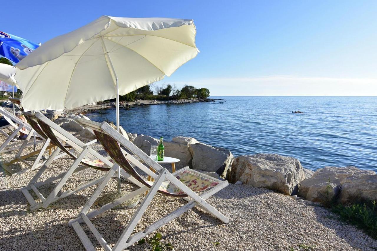 Prime location apartment nicely equipped - B&B Zambratija