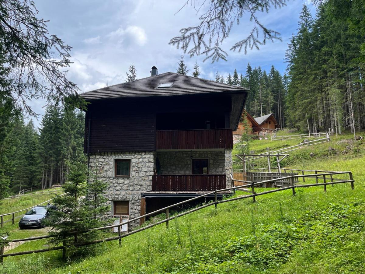 Triglav NP Apartment - above Bled - B&B Zgornje Gorje