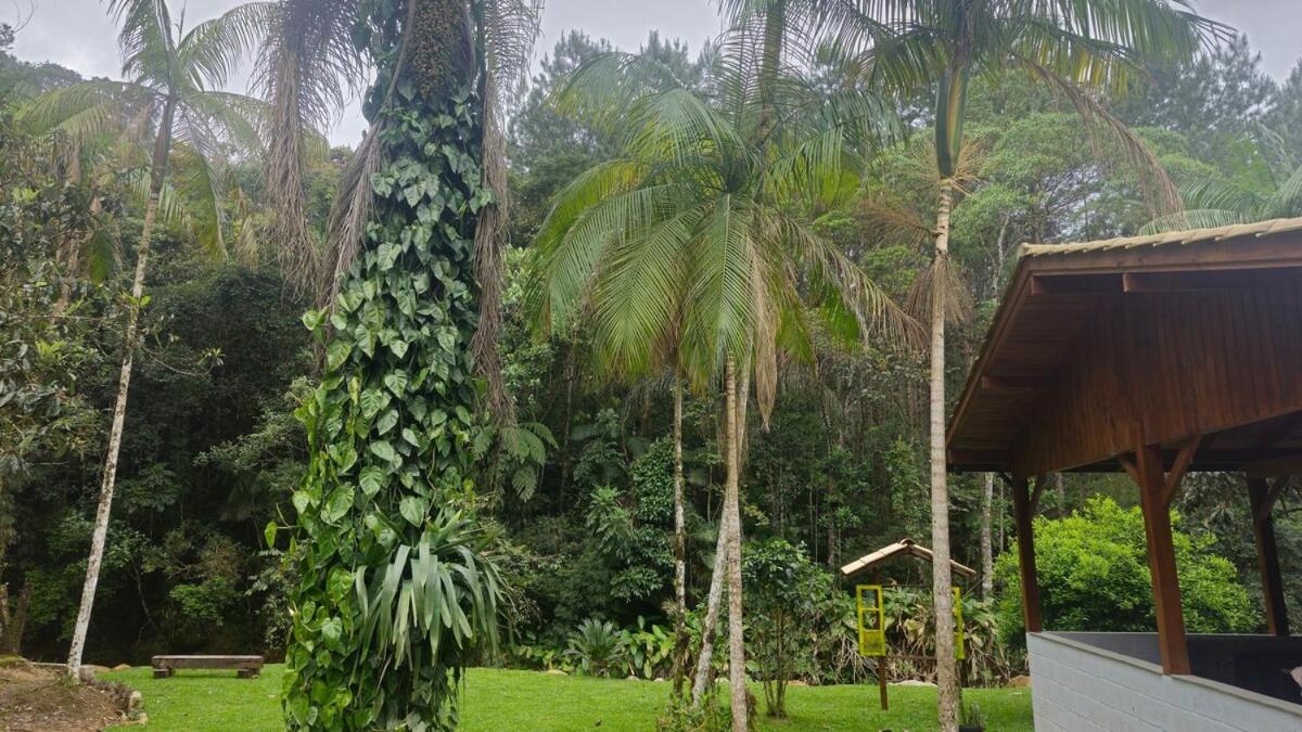 Sítio Águas do Egito - B&B Antônio Carlos