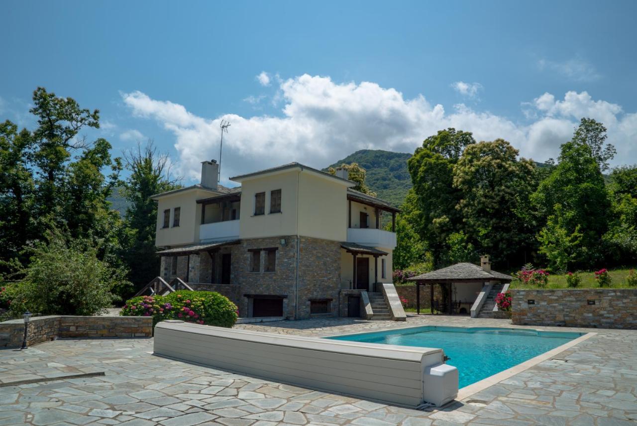 Luxury villa with pool in Tsagarada - B&B