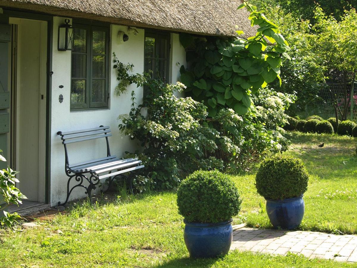 Haus Quitte - B&B Ostseebad Kühlungsborn