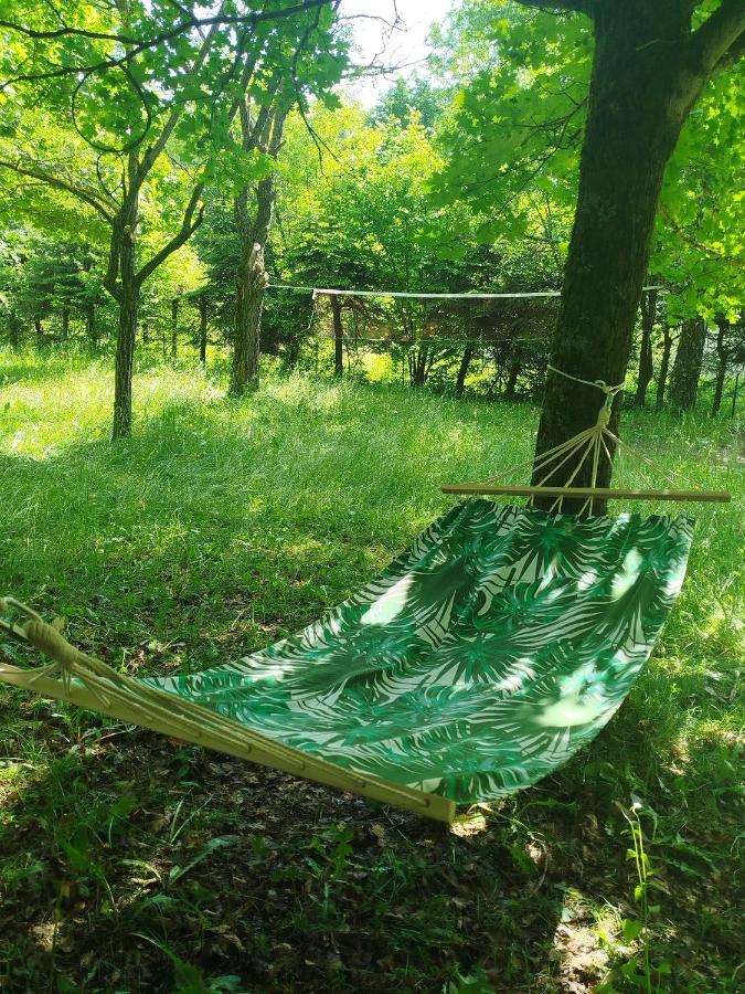 Mon refuge de montagne ouvert sur la nature - Ferienwohnung Le Noyer