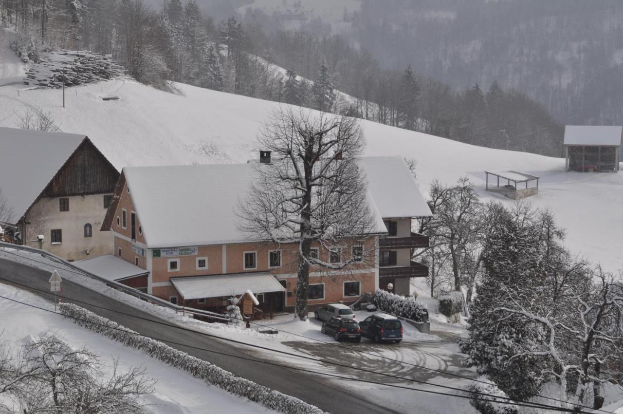 Apartments Lovec - B&B Cerkno