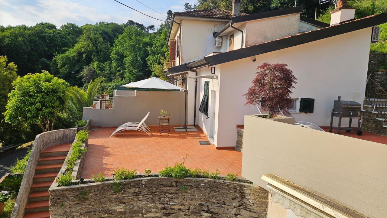 Alveari e Nidi - B&B Ameglia