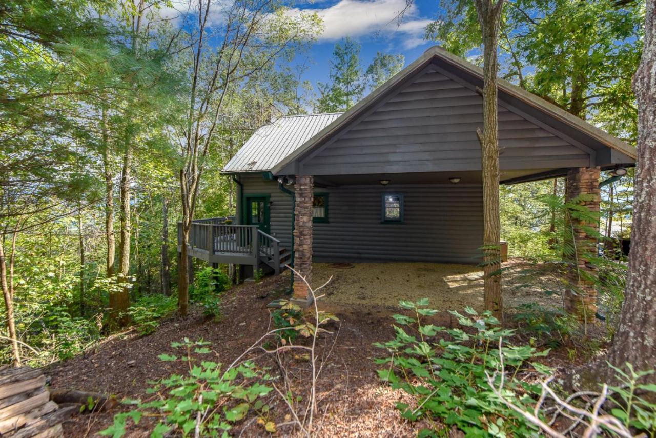 Tree Tops - B&B Townsend