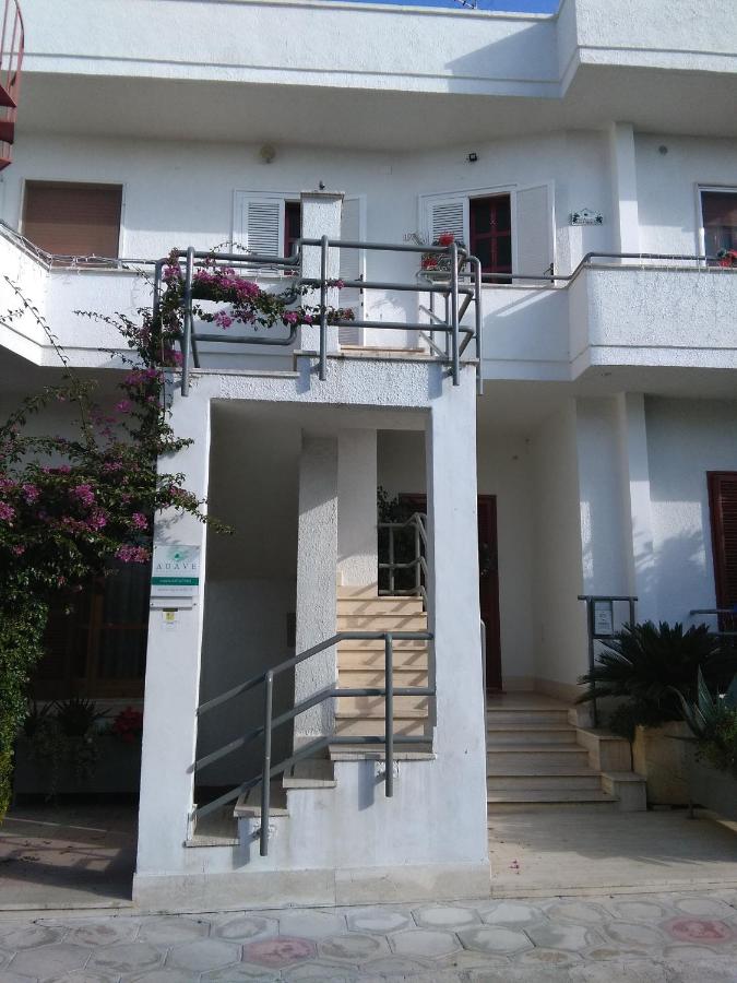 Agave Bed&Breakfast - B&B Campi Salentina