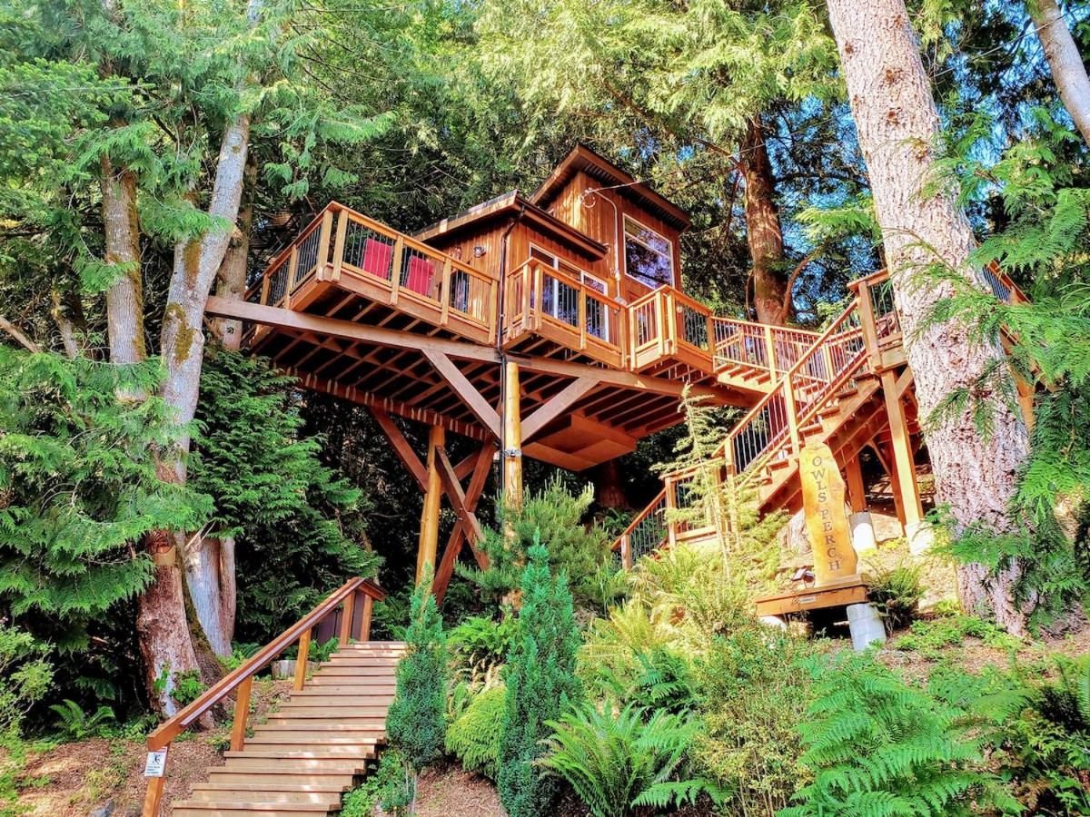 Owl's Perch Treehouse - B&B Sooke
