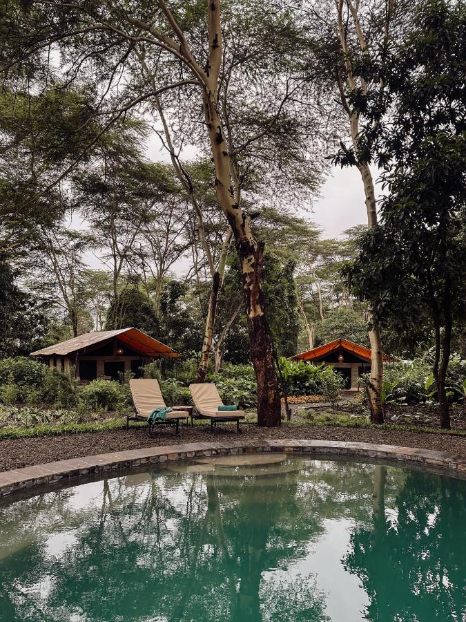 the Roost Tented Camp - Bed and Breakfast Arusha