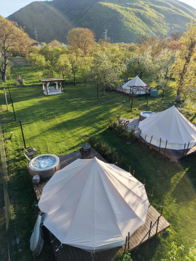 Green Garden Glamping Retezat - B&B Bălana