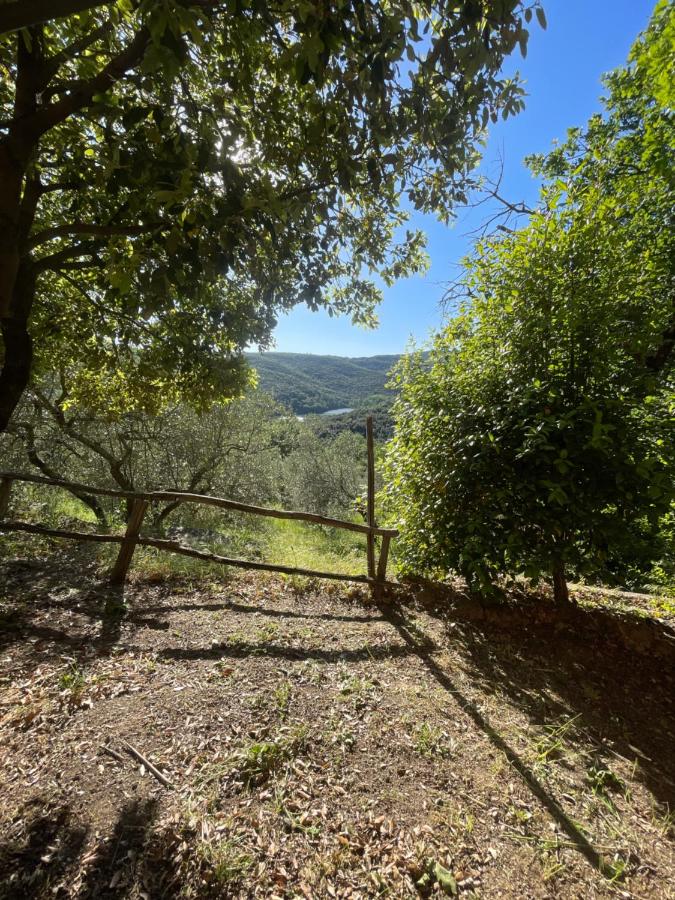 La Casetta dei Pereti - B&B Roccatederighi