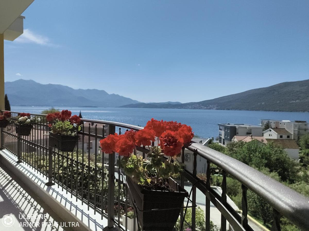 Luxury seaview apartment - B&B Ðenovići