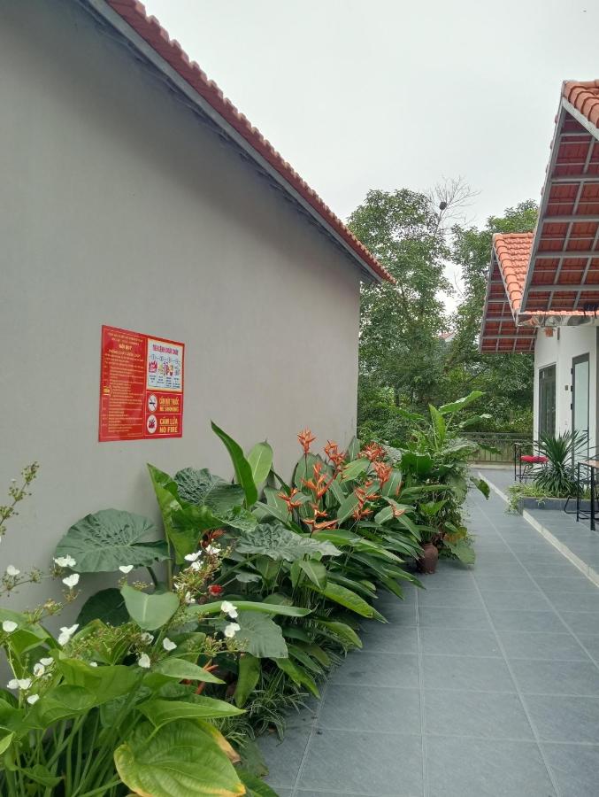 Tam Coc Mountain Light Homestay - Ferienwohnung Ninh Binh