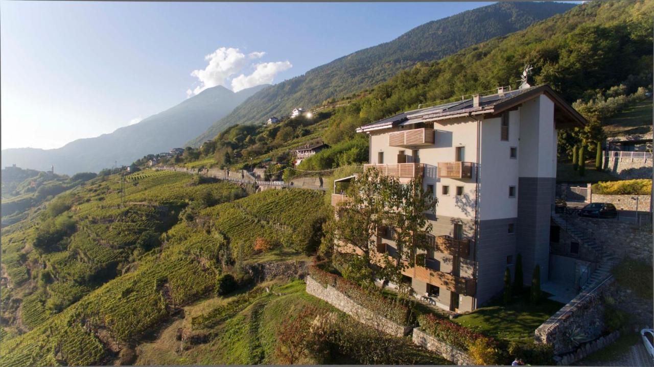 B&B Poggiridenti - Wine Hotel Retici Balzi - Bed and Breakfast Poggiridenti