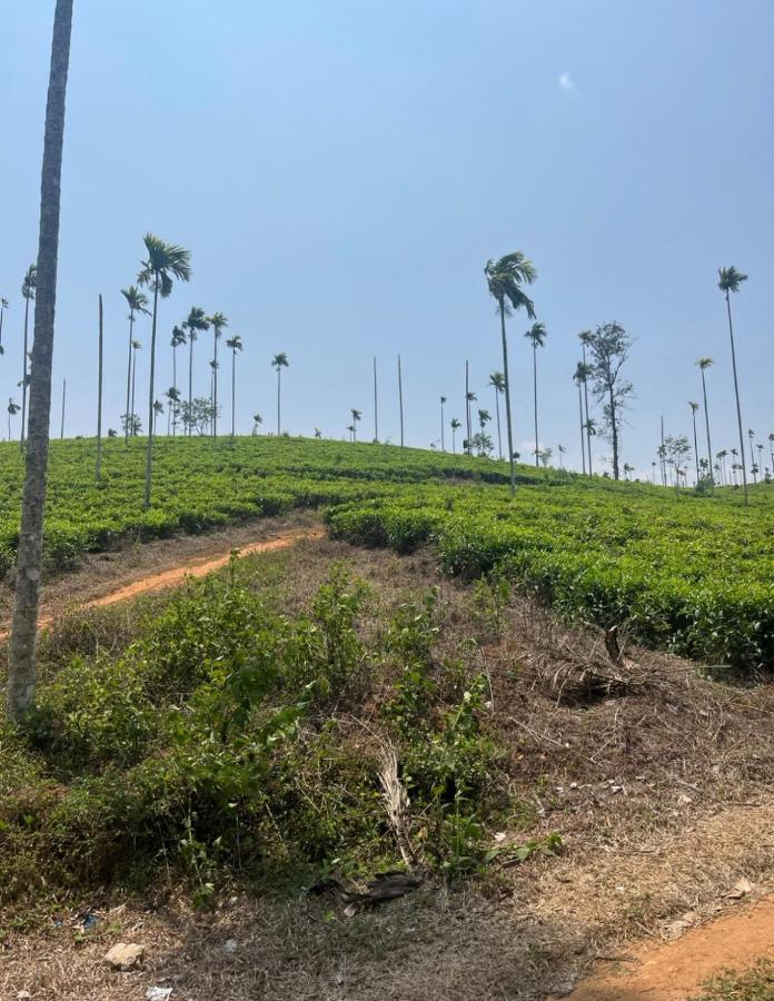 Grass root by shelters - B&B Vayittiri