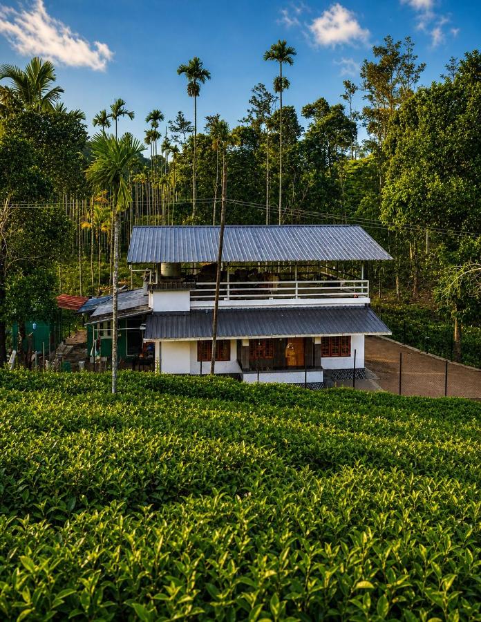 Grass root by shelters - B&B Vayittiri