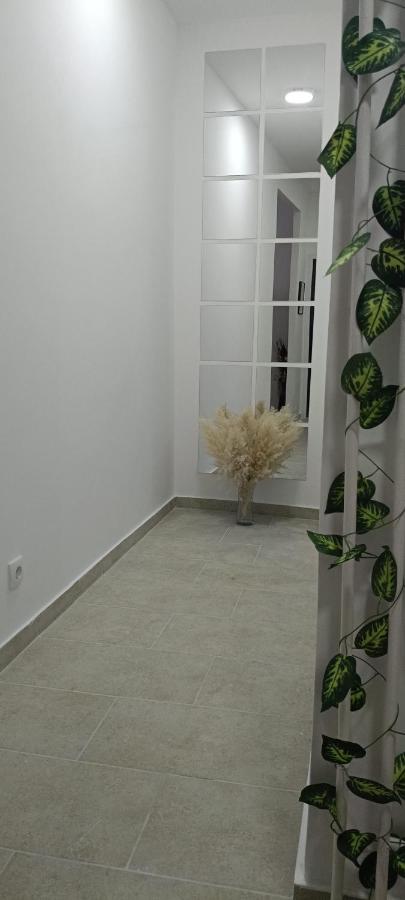 Green view apartman Pančevo - B&B Pančevo