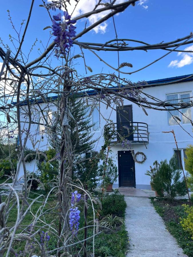 NOVEL HOUSE - B&B Martvili