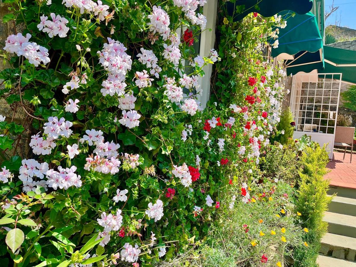 Bell Villa Luxury 3BHK Private Home Stay with Garden perfect for Families Couples Staycations - Chambres d'hôtes Kodaikānāl