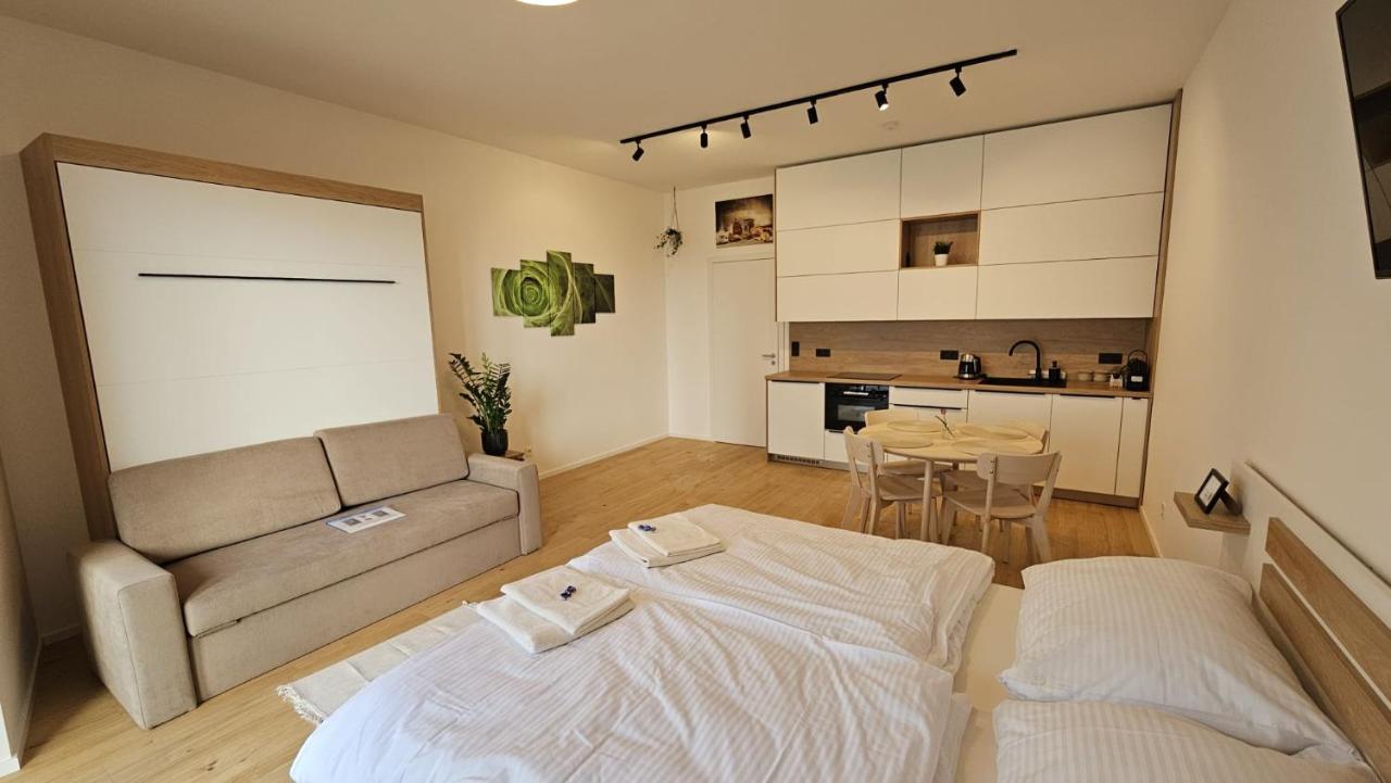 Apartmán u Karla - Bed and Breakfast Brno
