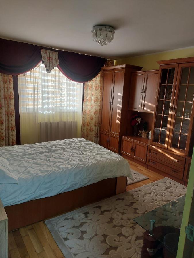 Emilia's Dreamhouse - B&B Gura Humorului
